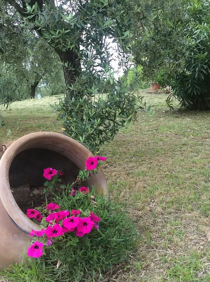 Tenuta Gaetano Spadaro Capannori Landhaus
