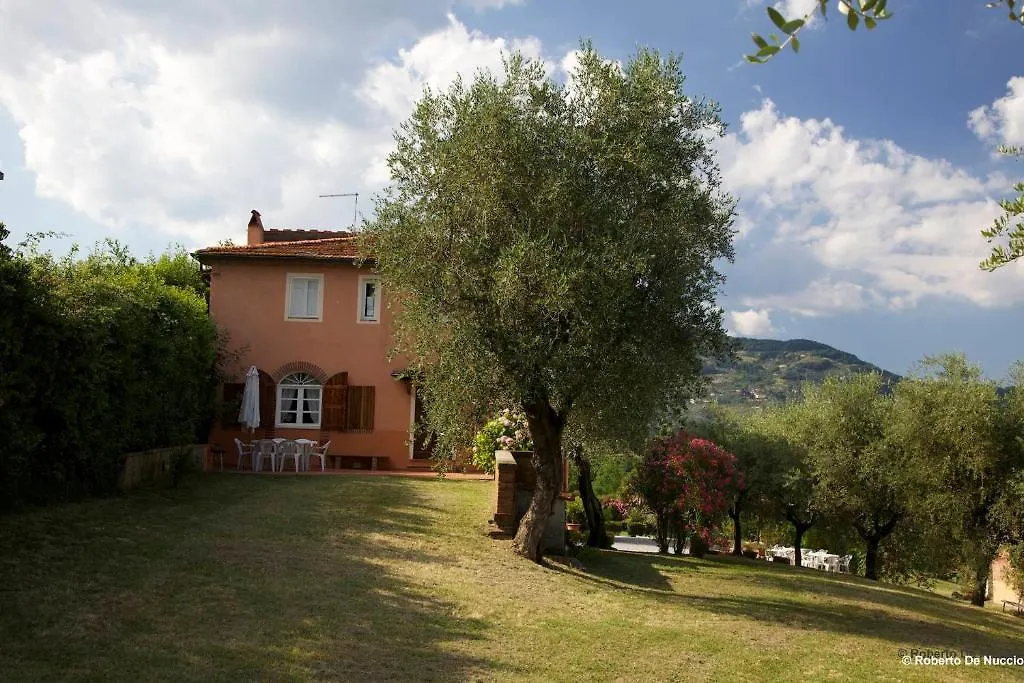 Tenuta Gaetano Spadaro Capannori Italy
