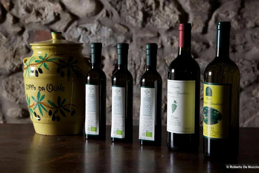 Tenuta Gaetano Spadaro Capannori Country house